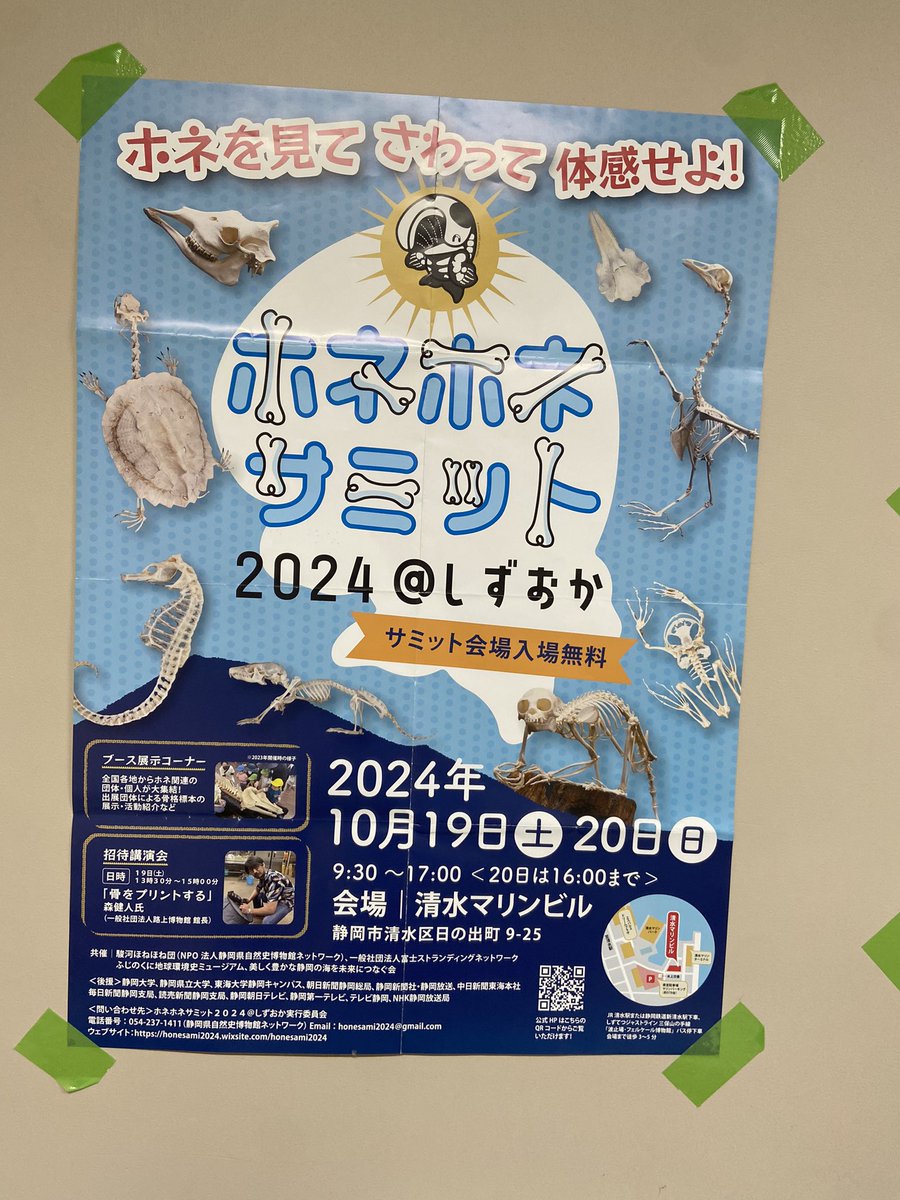 sizensi's tweet photo. 【宣伝】
岩手大学の不来方祭で自然史探偵団も展示・販売を行います

今回は自然史探偵団の商品だけでなく、
「なにわホネホネ団」さん、「大阪市立自然史博物館」さんの商品も販売をしています！

普段買うことのできない、鯨柄のステッカーやメスの柄、ダニ柄のおしぼりなどあるので皆さん来てね⭐️ https://t.co/YEqSforfkI
