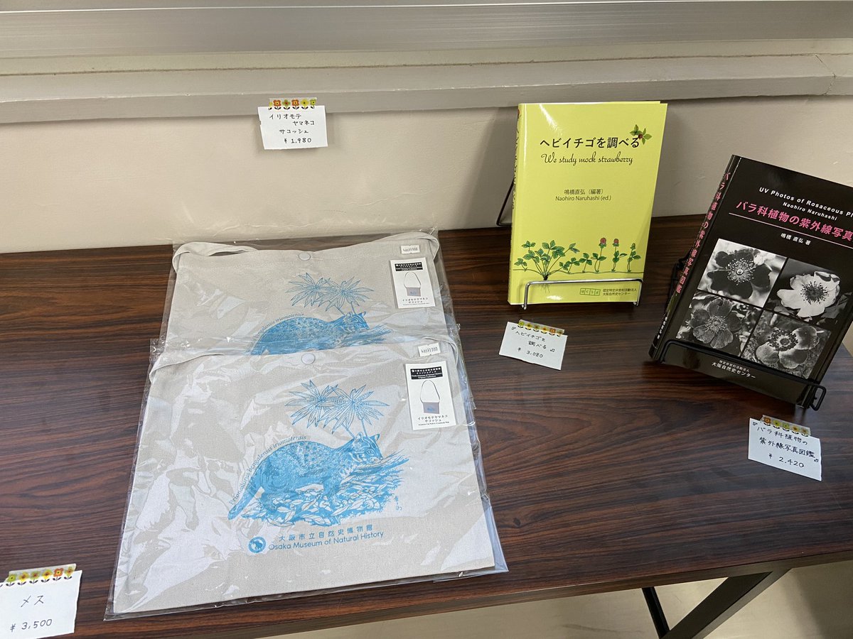 sizensi's tweet photo. 【宣伝】
岩手大学の不来方祭で自然史探偵団も展示・販売を行います

今回は自然史探偵団の商品だけでなく、
「なにわホネホネ団」さん、「大阪市立自然史博物館」さんの商品も販売をしています！

普段買うことのできない、鯨柄のステッカーやメスの柄、ダニ柄のおしぼりなどあるので皆さん来てね⭐️ https://t.co/YEqSforfkI