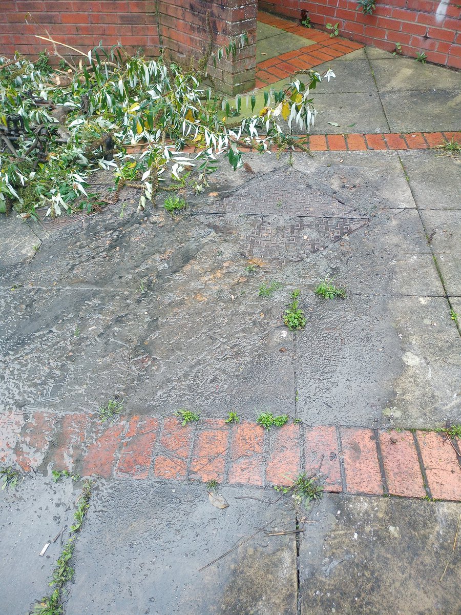 realnutteruk's tweet photo. @thameswater Sewage leak, Kennet towpath, Reading.. What Three Words location is ///clues.life.moth.  It's draining into the canal! https://t.co/7kfXMvynWd