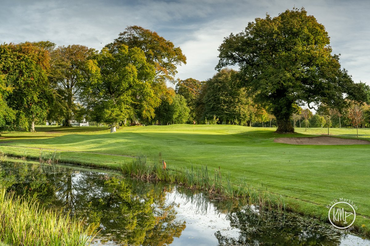 Kevin Markham tweet media