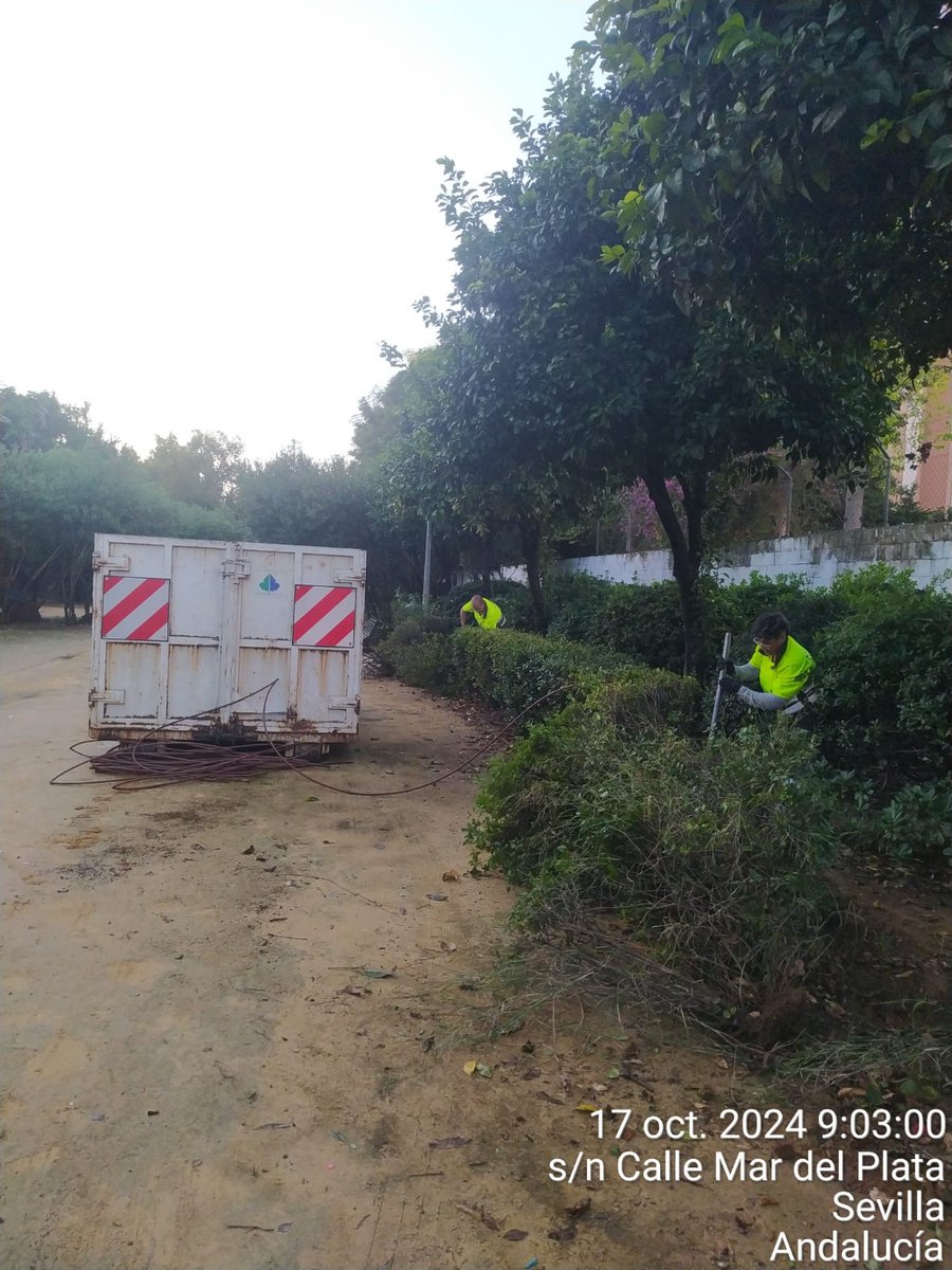 DtoTriana's tweet photo. ✅️ Buenos días, los operarios de parques y jardines continúan trabajando en las calles de nuestro barrio.
📍C/ Darro
📍C/ Mar del Plata
📍C/ San Jacinto.
Seguimos trabajando 👌
#DistritoTriana
#SevillaHoy https://t.co/mTsurgsgpP