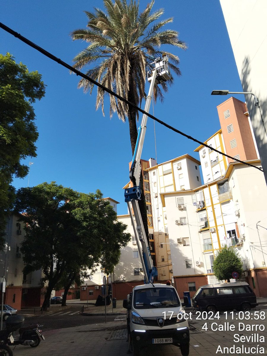 DtoTriana's tweet photo. ✅️ Buenos días, los operarios de parques y jardines continúan trabajando en las calles de nuestro barrio.
📍C/ Darro
📍C/ Mar del Plata
📍C/ San Jacinto.
Seguimos trabajando 👌
#DistritoTriana
#SevillaHoy https://t.co/mTsurgsgpP