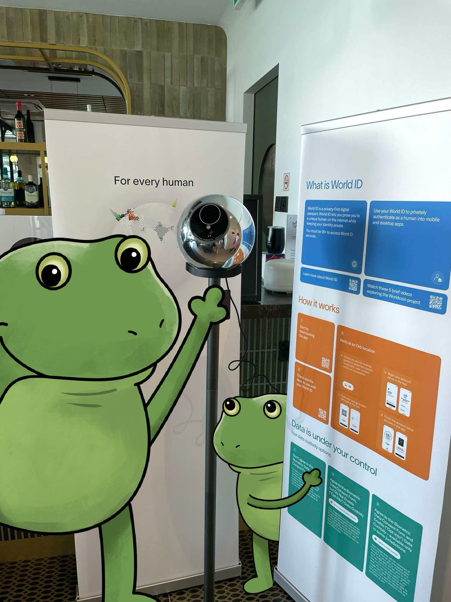 FROGE tweet media