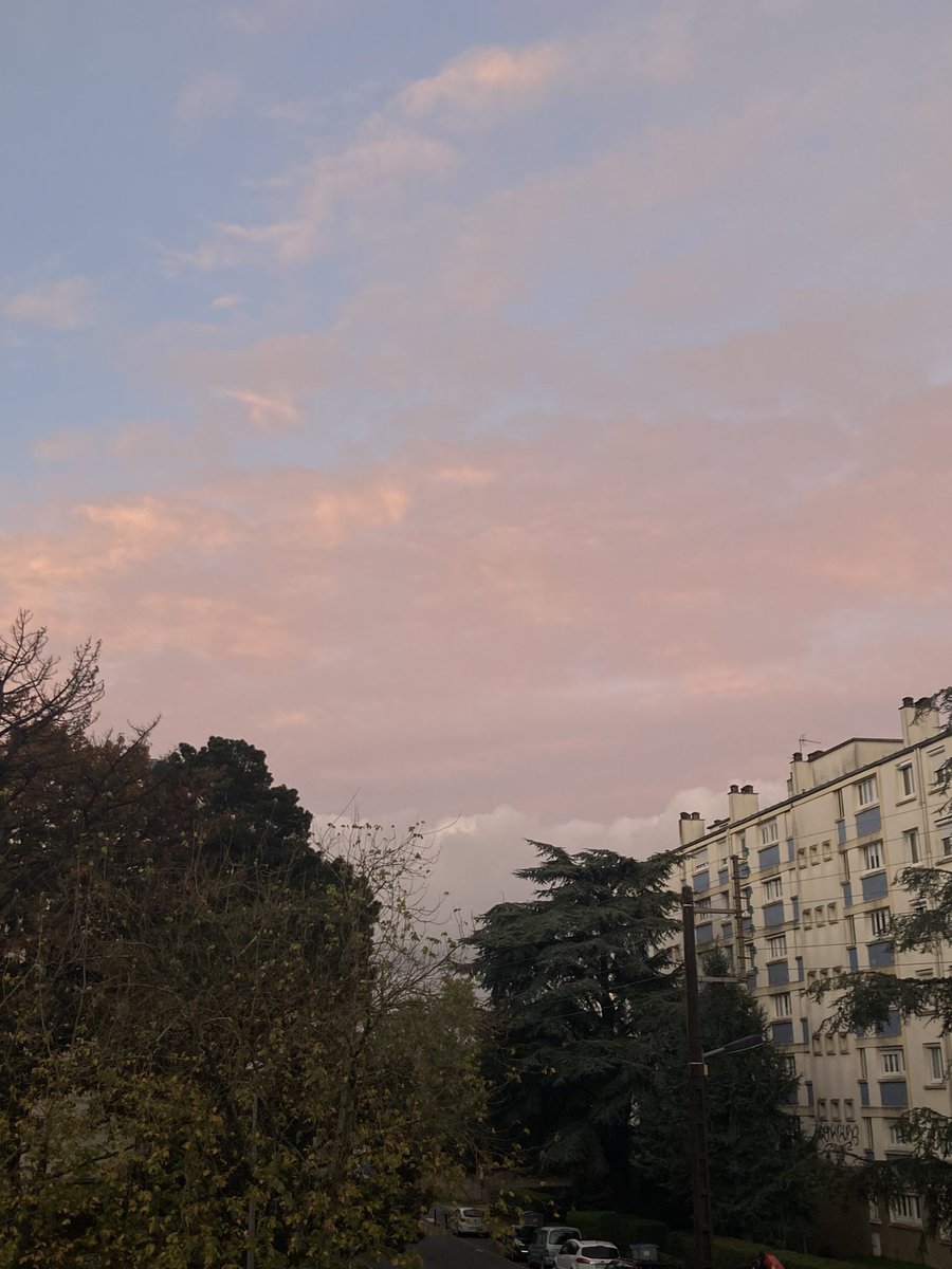 grimumu's tweet image. 