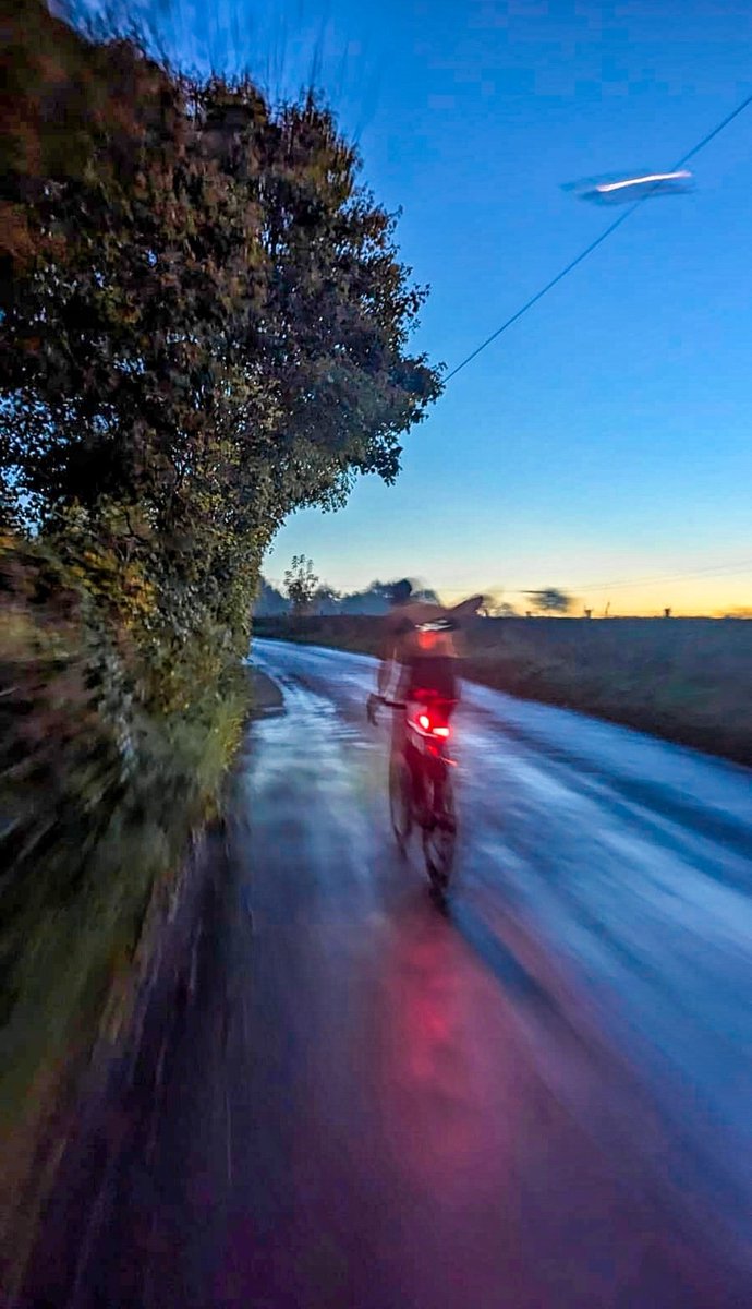 Zoë Westerman 🏴󠁧󠁢󠁷󠁬󠁳󠁿 tweet media