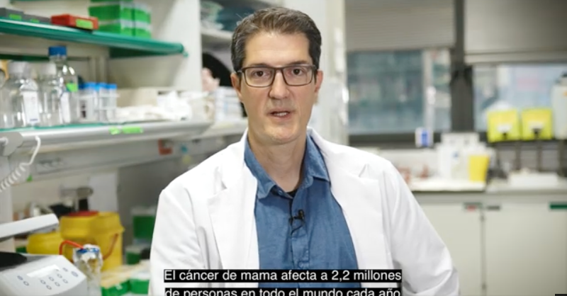 IRBBarcelona's tweet photo. 🌏🎗️#WorldBreastCancerDay | Every medical advance we have today comes from years of research. At #IRBBarcelona, Dr. @RogerGom1's team discovered the MAF gene, key to #BreastCancer #metastasis. Learn how this breakthrough is advancing towards the clinic with @inbiomotion.