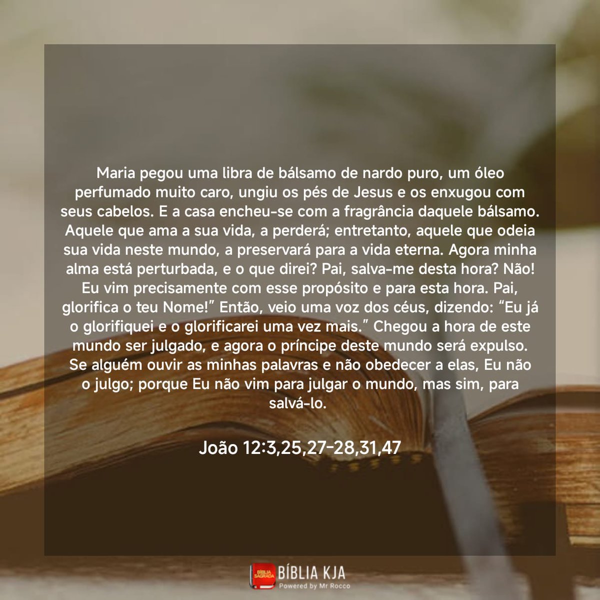 Jeanbsilva's tweet photo. Jesus está próximo do momento de entrega no preparo tem a unção de Maria, tem a voz do pai o consolando e a declaração de sua missão em salvar o pecador arrependido, e a sentença ao inimigo das nossas almas. Fiquemos felizes CRISTO venceu! #rpsp #Jo12 https://t.co/LFsEwpWk3S