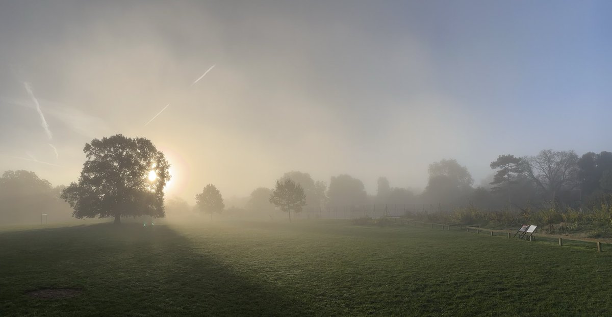 Mist in Dulwich Park this morning, magical!
