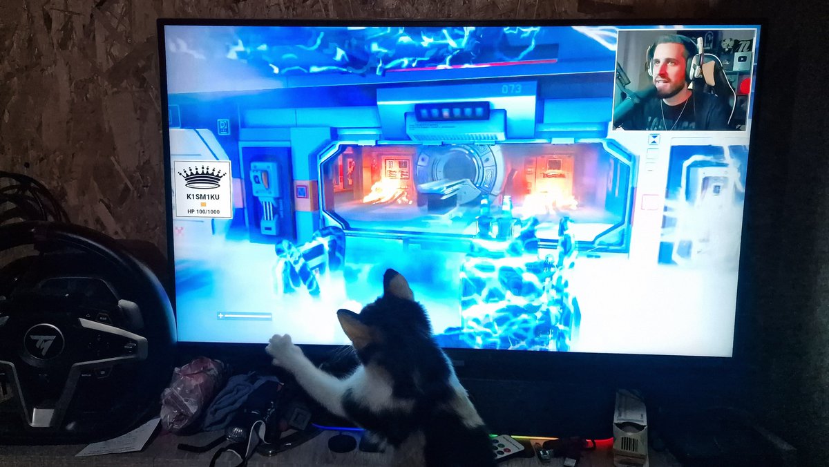 DSancee's tweet photo. Luna segít @nessajkek - neki az Alien: Isolation végigjátszásban, hogy az Alien: Isolation 2 - amit @nessajkek már #NYÍLVÁN vár - tuti jól menjen. 😃 https://t.co/Vu1JBbeefr