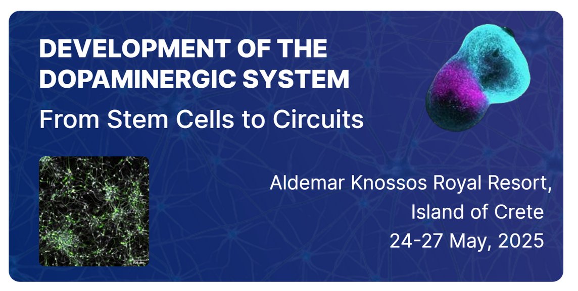 Interesting conference next year in Crete, designed for researchers interested in midbrain dopamine neurons, their development, circuitry, &amp; modeling using IPS cells &amp; organoids, towards a better understanding of #Parkinsons (Price includes lodging &amp; food)
conferience.com/eventPage/ddss…