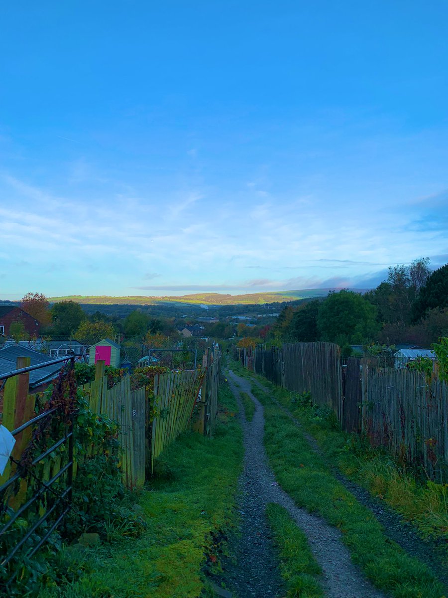 Manchester lit up in the autumn sunshine this morning on my walking commute to work. Love walking through the allotments watching the changing in growth with the seasons. #doorstepwalks <a href="/walk_derbyshire/">Walk Derbyshire</a> <a href="/GmWalks/">GM Walking</a> <a href="/HelenThorny/">Helen Thornhill</a>