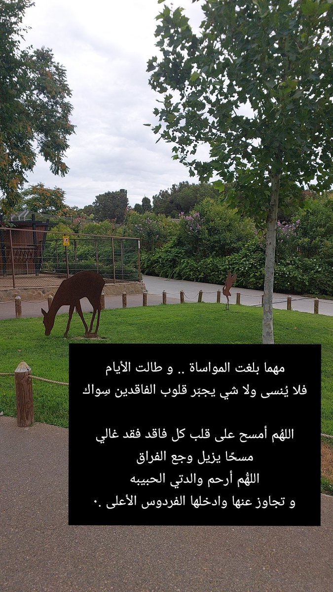 FNOOOI's tweet photo. #يوم_الجمعة #عائشه_المغشي https://t.co/C4kOZVdREy