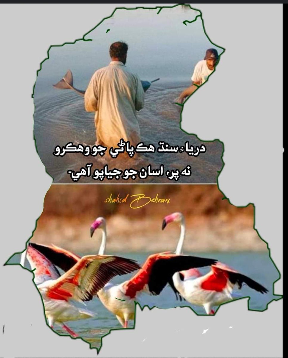 مذهبي ڀائيچارو اسانجي ثقافت
سنڌو درياھ اسانجي معشيت ۽ جياپو 
#NoMoreCanalsOnIndus