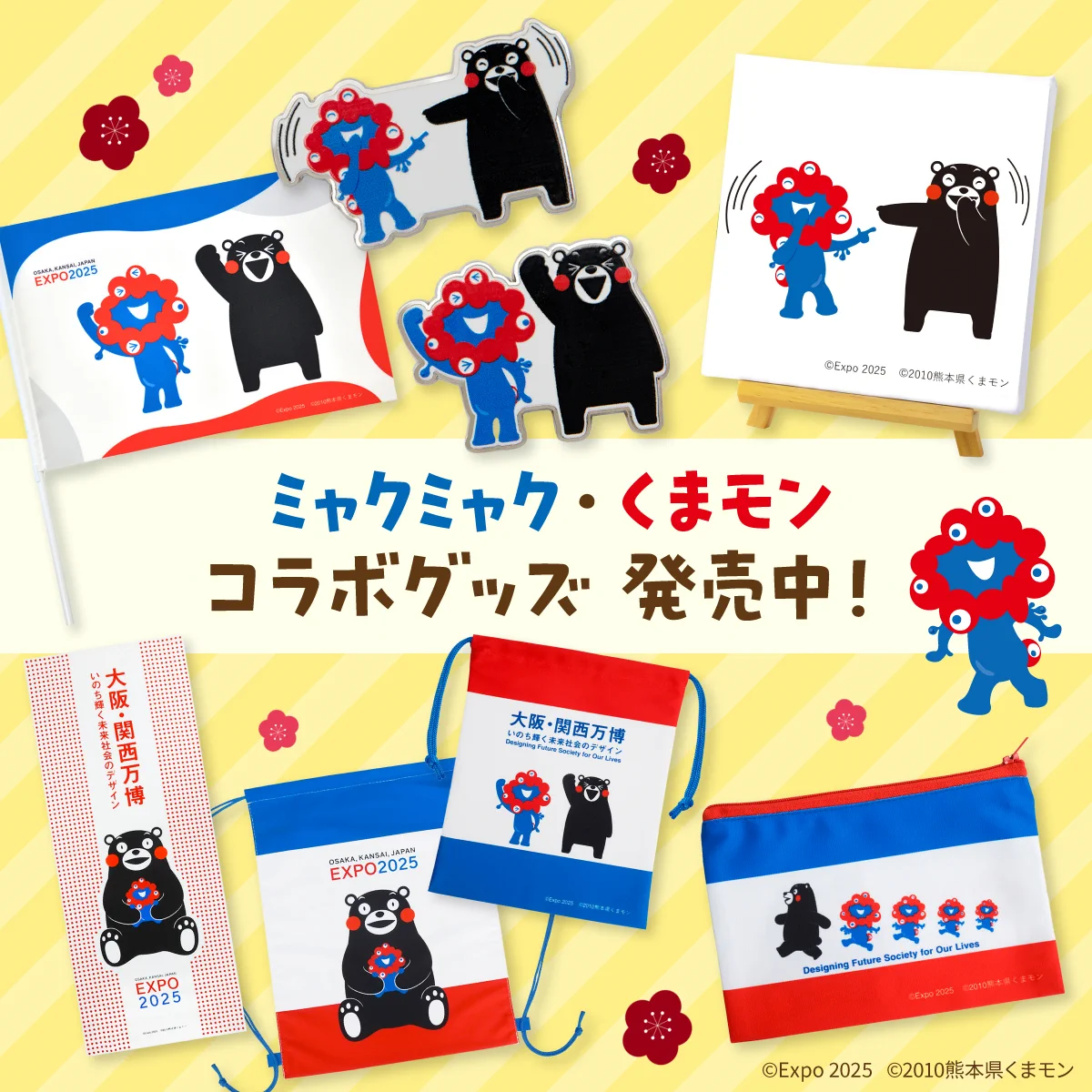 GaKJMEya4AATBgC?format=webp&