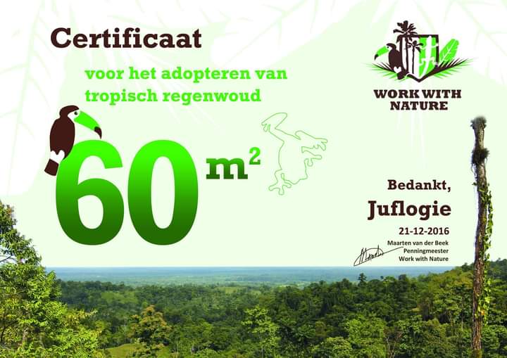Juflogie_Nature's tweet photo. Work With Nature protect Tropical rainforest in Costa Rica. 🌴🌴🌴
#Juflogie  , #wwn  , #nature https://t.co/ONm1GOY2UB