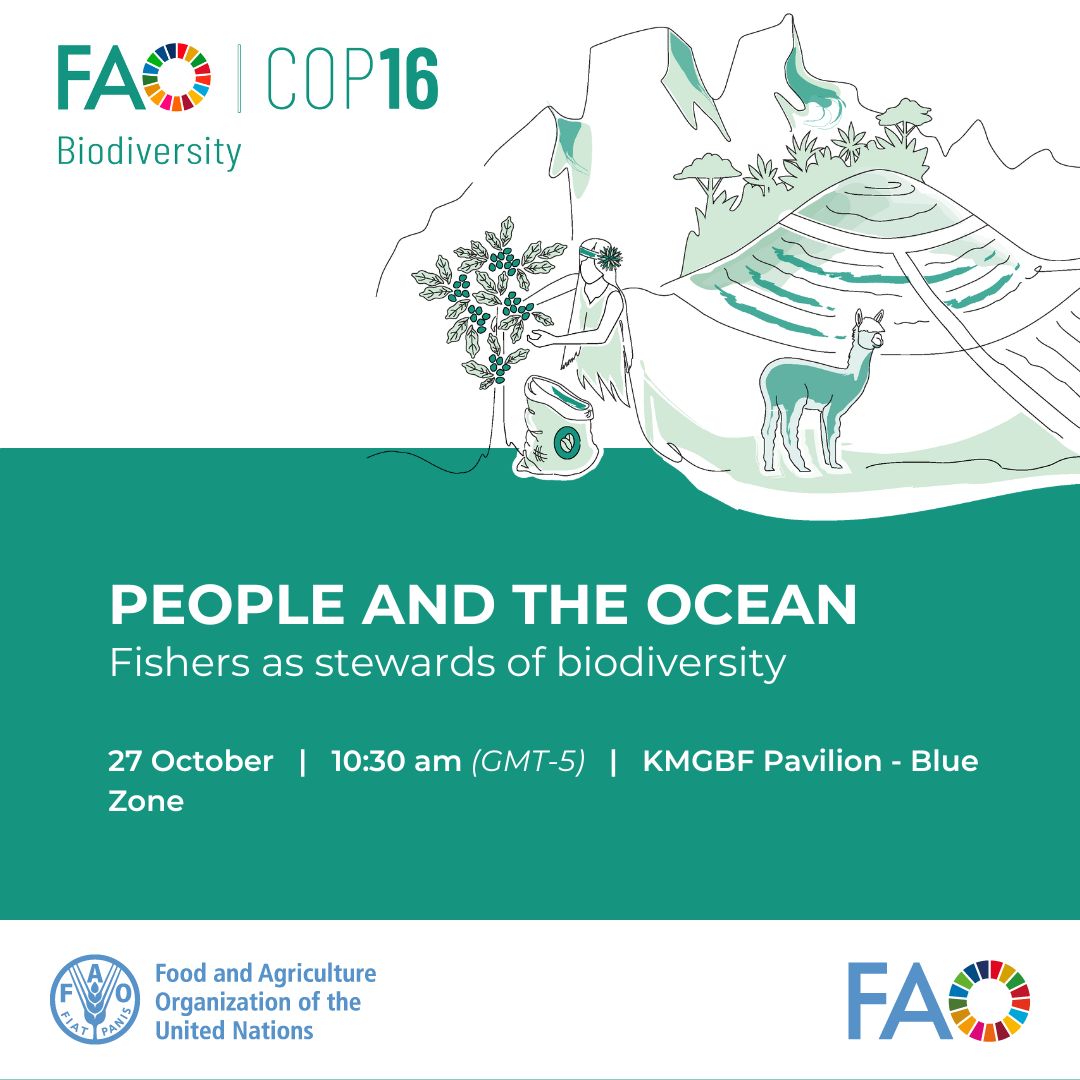 On #COP16Colombia's #OceanDay, join <a href="/FAOFish/">Fisheries & Aquaculture</a>, <a href="/SprepChannel/">SPREP</a>, &amp; IUCN_FEG for "People &amp; the Ocean: Fishers as Stewards of Biodiversity".

You will hear how fishers' work is helping conserve aquatic ecosystems, supporting  global #biodiversity targets. #GBF
🔗bit.ly/40850bs