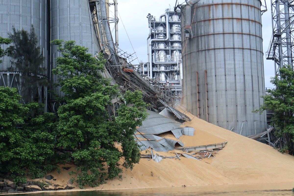 Romy Gilbert tweet media