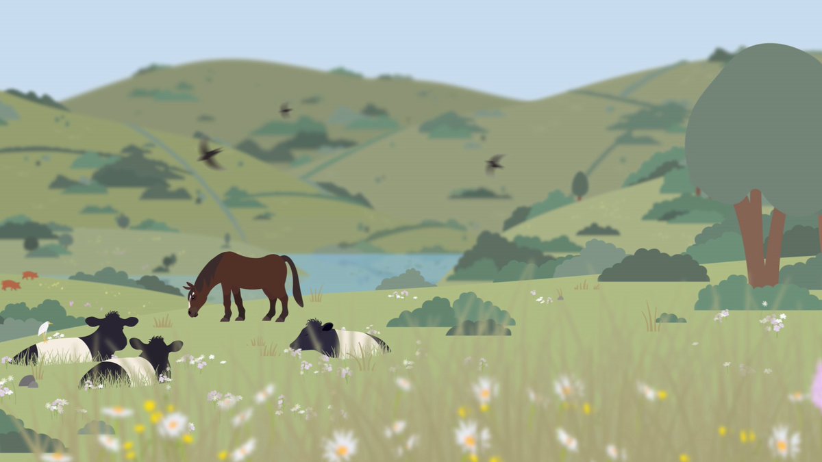 rwtwales's tweet photo. Our Pentwyn Farm Animation is now ready for you to view on Youtube! 🐷🐴🌱🦅

Wilder Pentwyn Farm has a 30-year vision to fully restore nature! Watch the animation here: https://t.co/kAKmtY5sW9 https://t.co/aH63NUDGY6