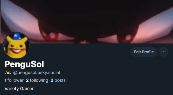 PenguSol tweet media