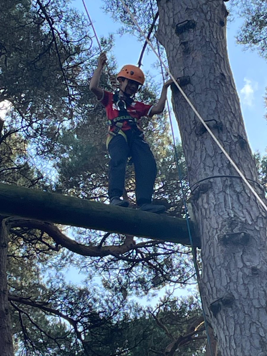 Group 8 High ropes