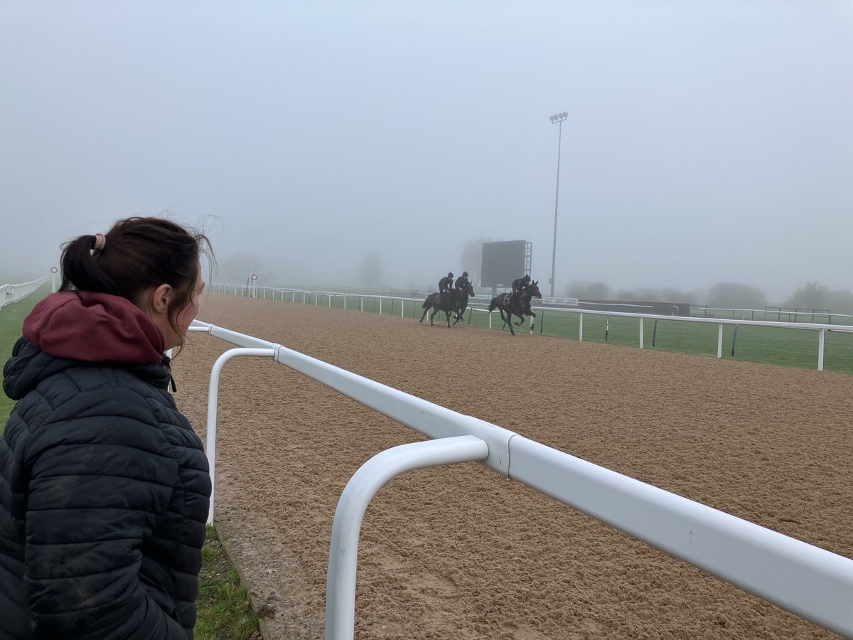 Southwell_Races's tweet photo. Great to see ⁦@LauraMorganRace⁩ here, with amongst others, Percussion this morning. https://t.co/7GEpyNSqgO