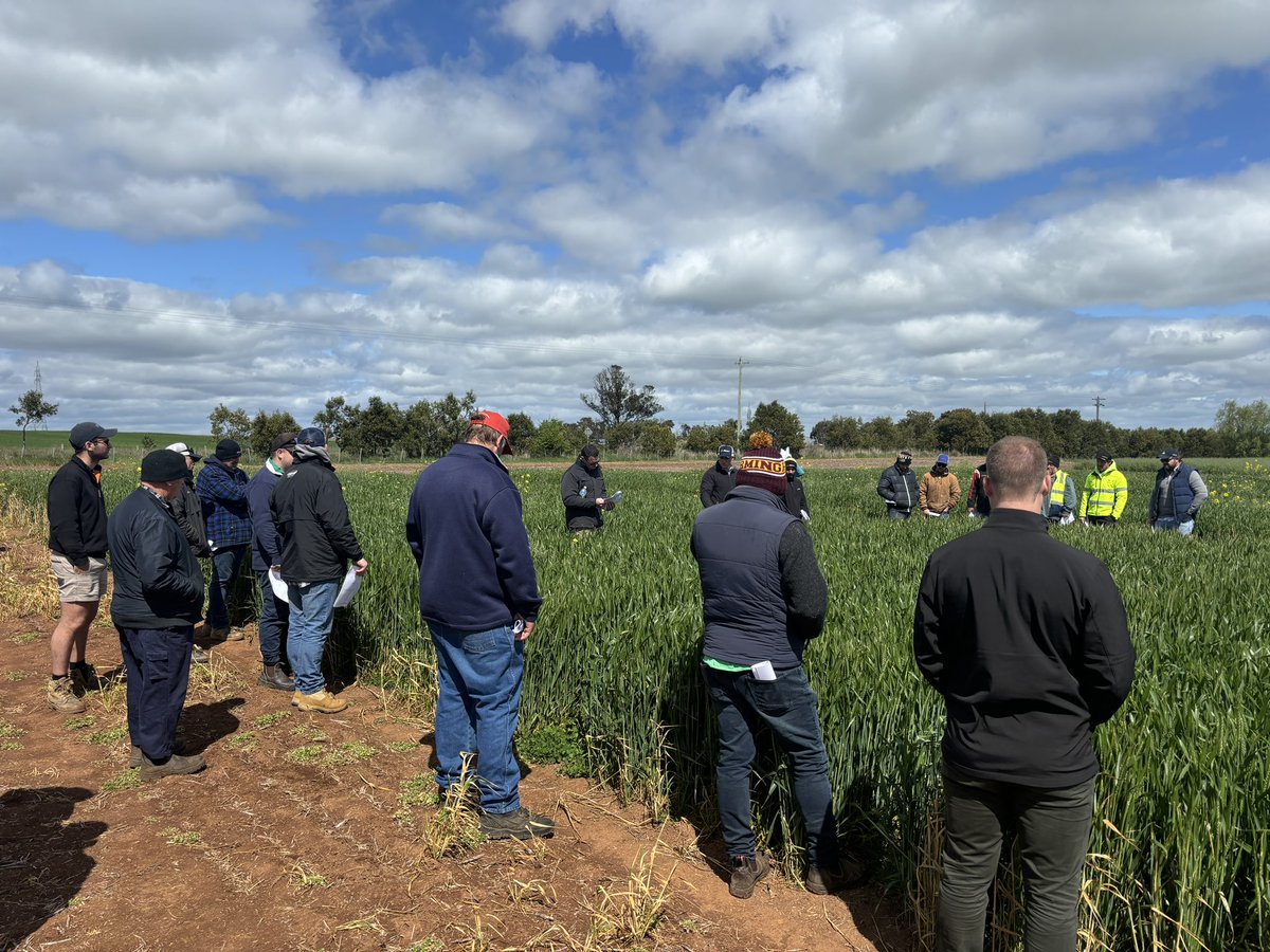 Altora Ag - Ballarat tweet media