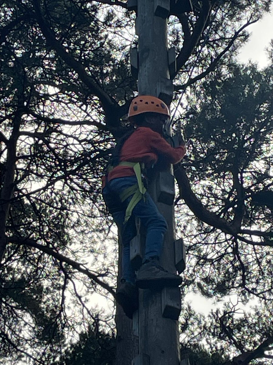 NewMiltonJunior's tweet photo. Group 8 High ropes https://t.co/p7zHHL8Kjy