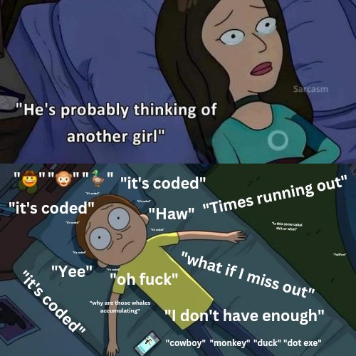 CowboyMonkeyDuck.exe tweet media