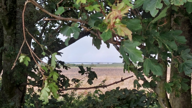 Kapelle heeft sluitende begroting, maar ook zorgen over toekomst -  internetbode.nl/reimerswaal/l/…