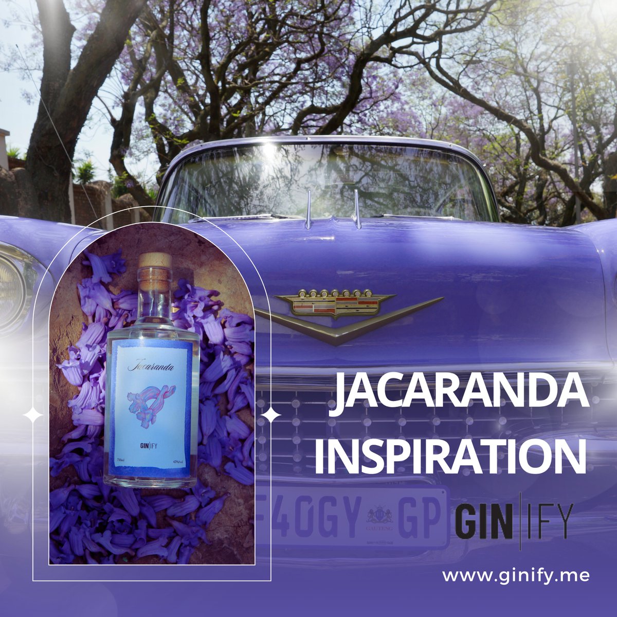 Ginify_Me's tweet image. Did you know? The iconic purple blooms of the Jacaranda tree inspired our limited-edition Jacaranda by Ginify 🌸 Capture the essence of spring with your own custom gin at ginify.me

#GinifyMe #JacarandaGin #SpringGin #GinTrivia #FloralGin