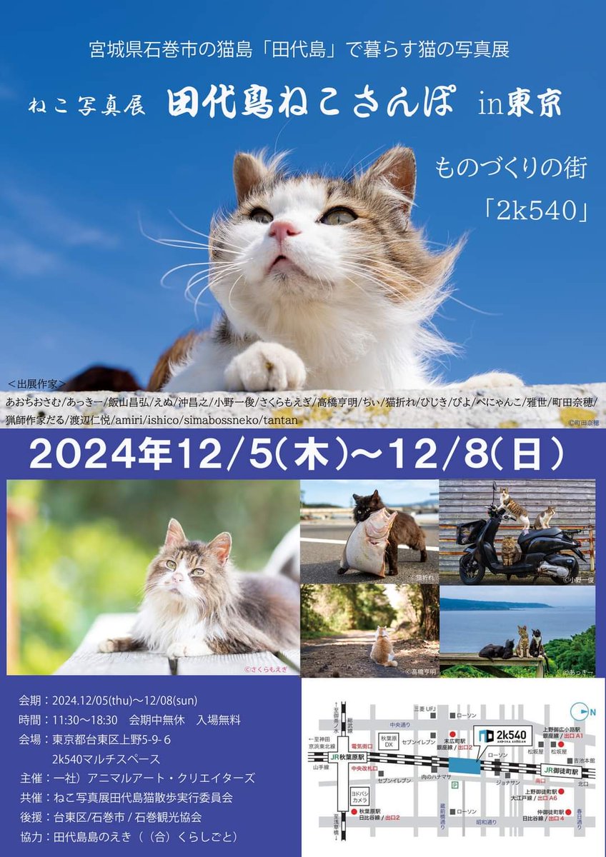Slash_Career's tweet photo. @tata_Illust_ ありがとうございます😊
東京は行くことができませんが、猫写真で癒されて下さい😸🐾 https://t.co/bEUIJLWfvb