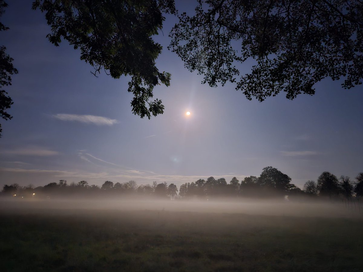 Captain Sideburns tweet media