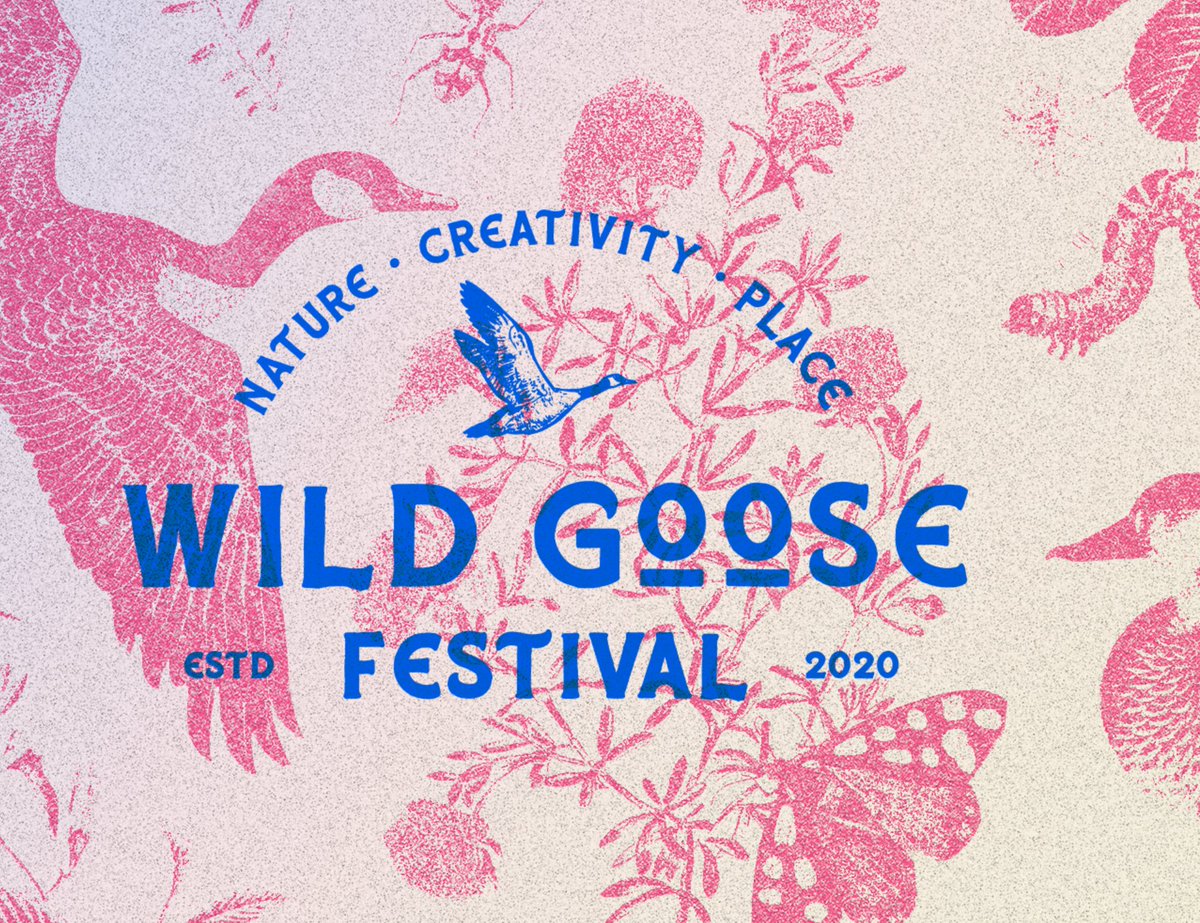 Today sees the start of Dumfries and Galloway's Wild Goose Festival 2024 - 10 days of family  friendly events  celebrating Nature, Creativity  and Place.

wildgoosefestival.scot/events/