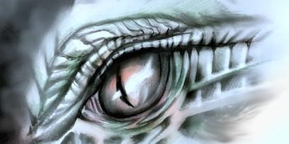 Workshop dinosaurus tekenen in Bibliotheek #Heiloo op zaterdag 25 okt: Wil jij onder begeleiding van een professionele illustrator leren hoe je een realistische dinosaurus kunt tekenen? Geef je dan snel op via: tinyurl.com/3ckztcjj