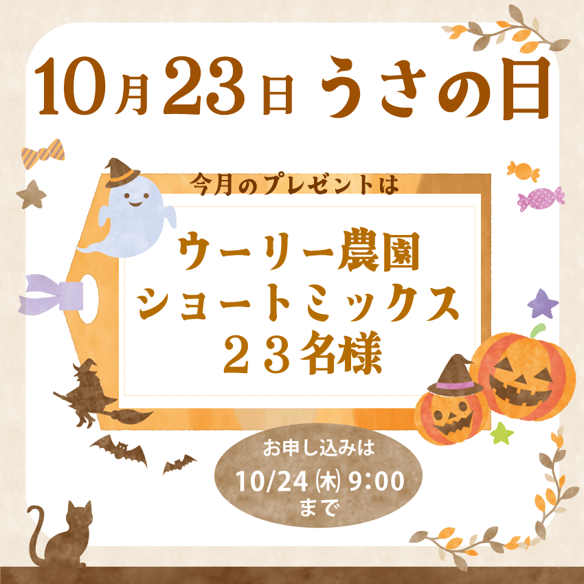 WOOLY（ウーリー） ㅣ うさぎの食彩工房 tweet media