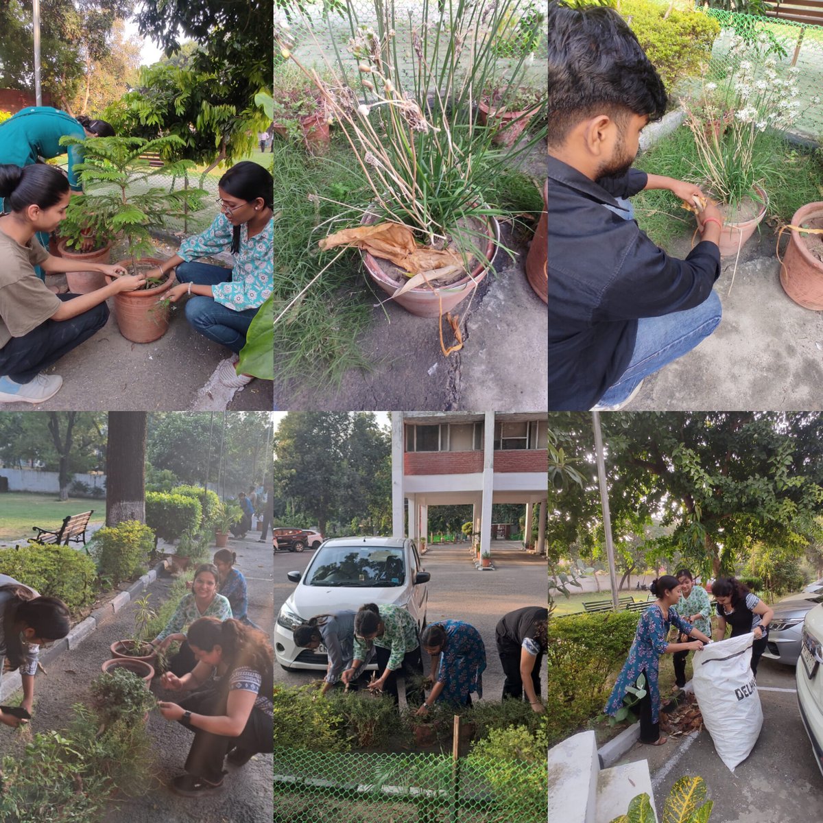 SCERTCHD_32's tweet photo. Special Campaign 4.0 
 #Specialcampaign4.0
#swachbharat 
#cleanlinessdrive 
#SwachhataHiSeva32Haii
#moeindia@NcTeDelhi 
#scertutchandigarh
#Disposal of waste material in scert premises https://t.co/QT5Xk2OIKH