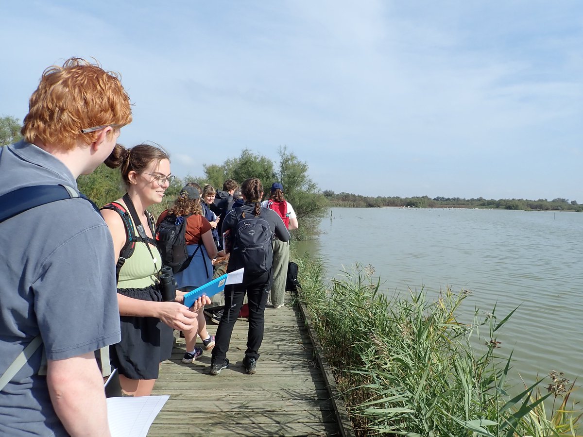 Merops Field Studies (@meropsfield) on Twitter photo In the Camargue with the <a href="/univofstandrews/">University of St Andrews</a>, we explored the freshwater marshes at the Centre de Découverte du Scamandre. We kept our eyes peeled and were lucky enough to spot both the very cryptic Mediterranean Treefrog and the European Pond Terrapin <a href="/SchoolofBiology/">School of Biology</a> <a href="/mikemwebster/">Mike Webster</a> In the Camargue with the <a href="/univofstandrews/">University of St Andrews</a>, we explored the freshwater marshes at the Centre de Découverte du Scamandre. We kept our eyes peeled and were lucky enough to spot both the very cryptic Mediterranean Treefrog and the European Pond Terrapin <a href="/SchoolofBiology/">School of Biology</a> <a href="/mikemwebster/">Mike Webster</a>