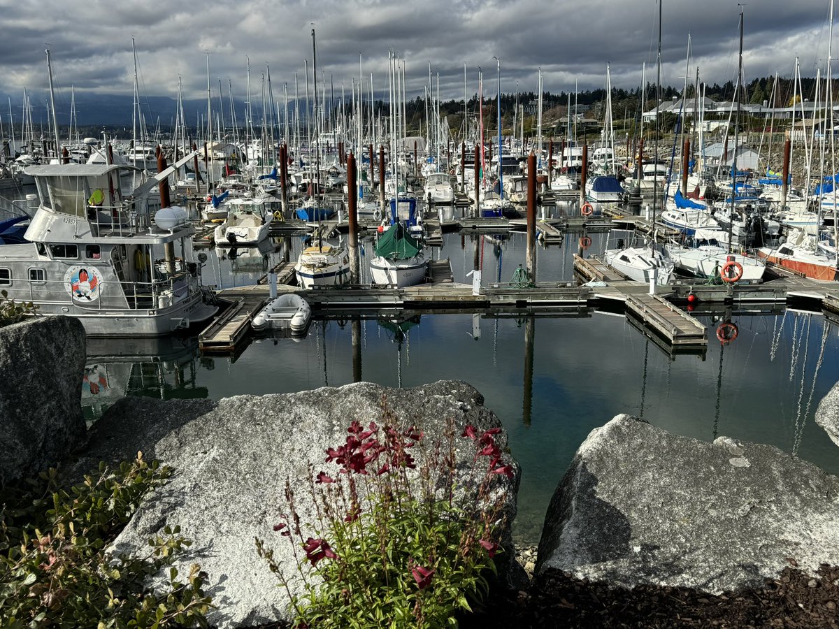 SUPokanagan's tweet image. October 17th in #comoxbc #ThePhotoHour