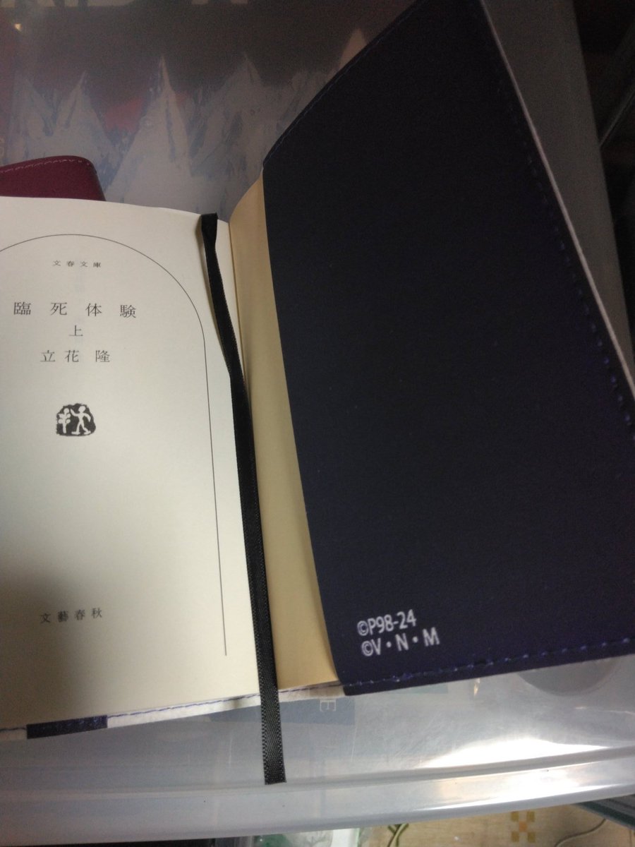 以前アベイルで購入したスキルハンターとグリードアイランドの