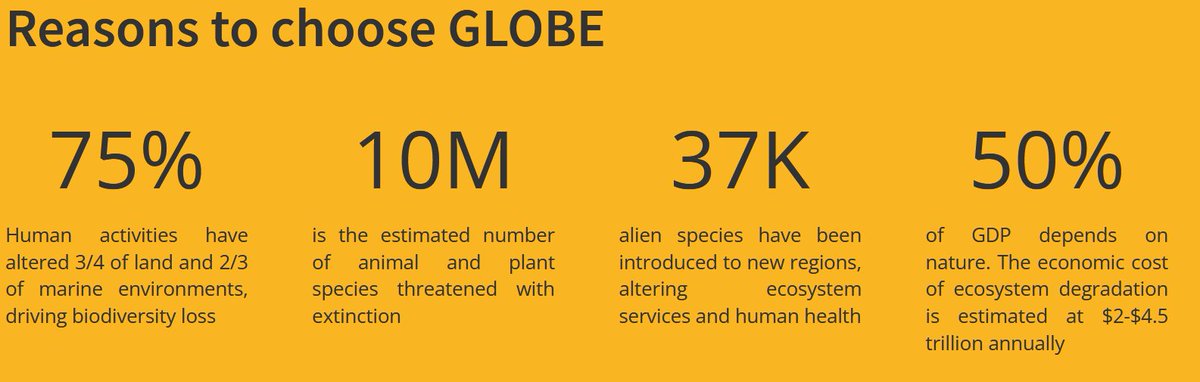 Be part of the solution!

#ErasmusMundus #GlobalChange #Biodiversity #Masters #StudyAbroad #URJC