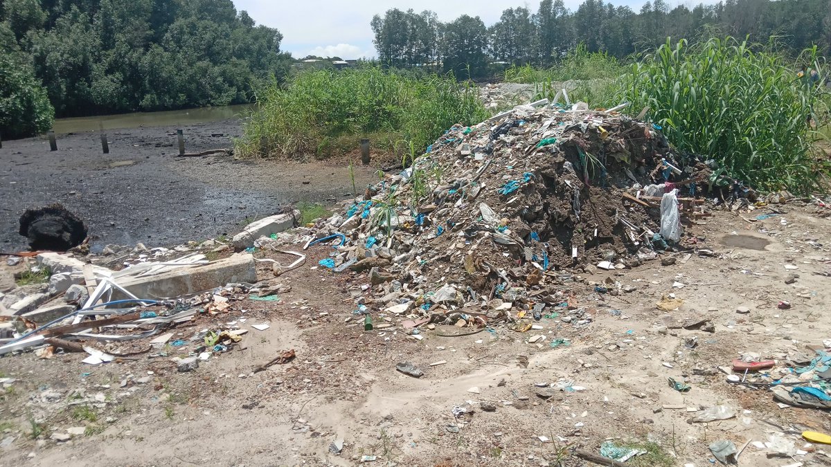 En signe de boycott à l'engagement à la protection de l'environnement du président de la transition, le Général Brice Clotaire OLIGUI, les gabonais ont décidés de vendre les terrains dans les mangroves.<a href="/oliguinguema/">Brice Clotaire Oligui Nguema</a> <a href="/AlexandreAwassi/">Alexandre Awassi</a> <a href="/ForetmerGOUVGA/">Ministère des Eaux et Forêts</a> <a href="/ZitaOligui/">Zita Oligui Nguema</a> <a href="/MoubaStephen/">Stanislas Stephen MOUBA</a>