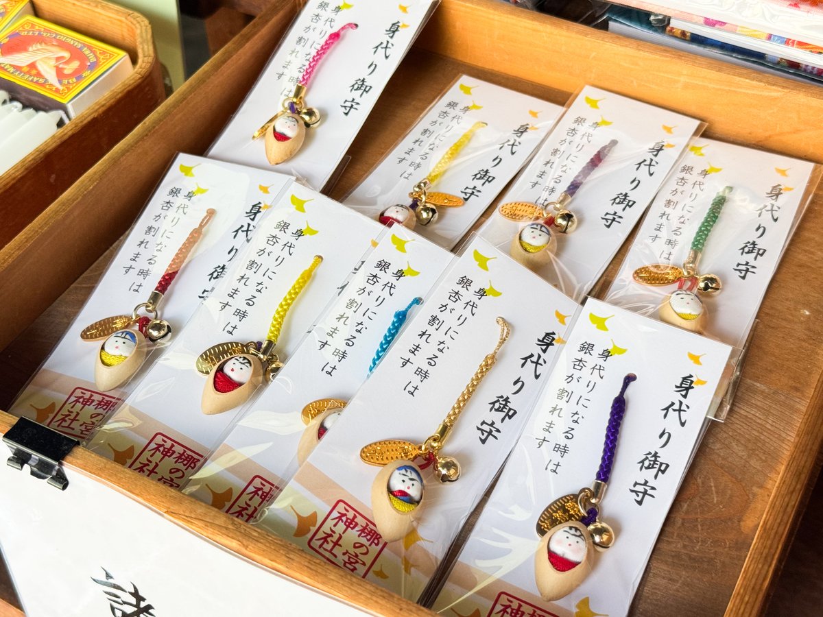 GaKSFKBbQAAvWj0.jpg?format=jpg