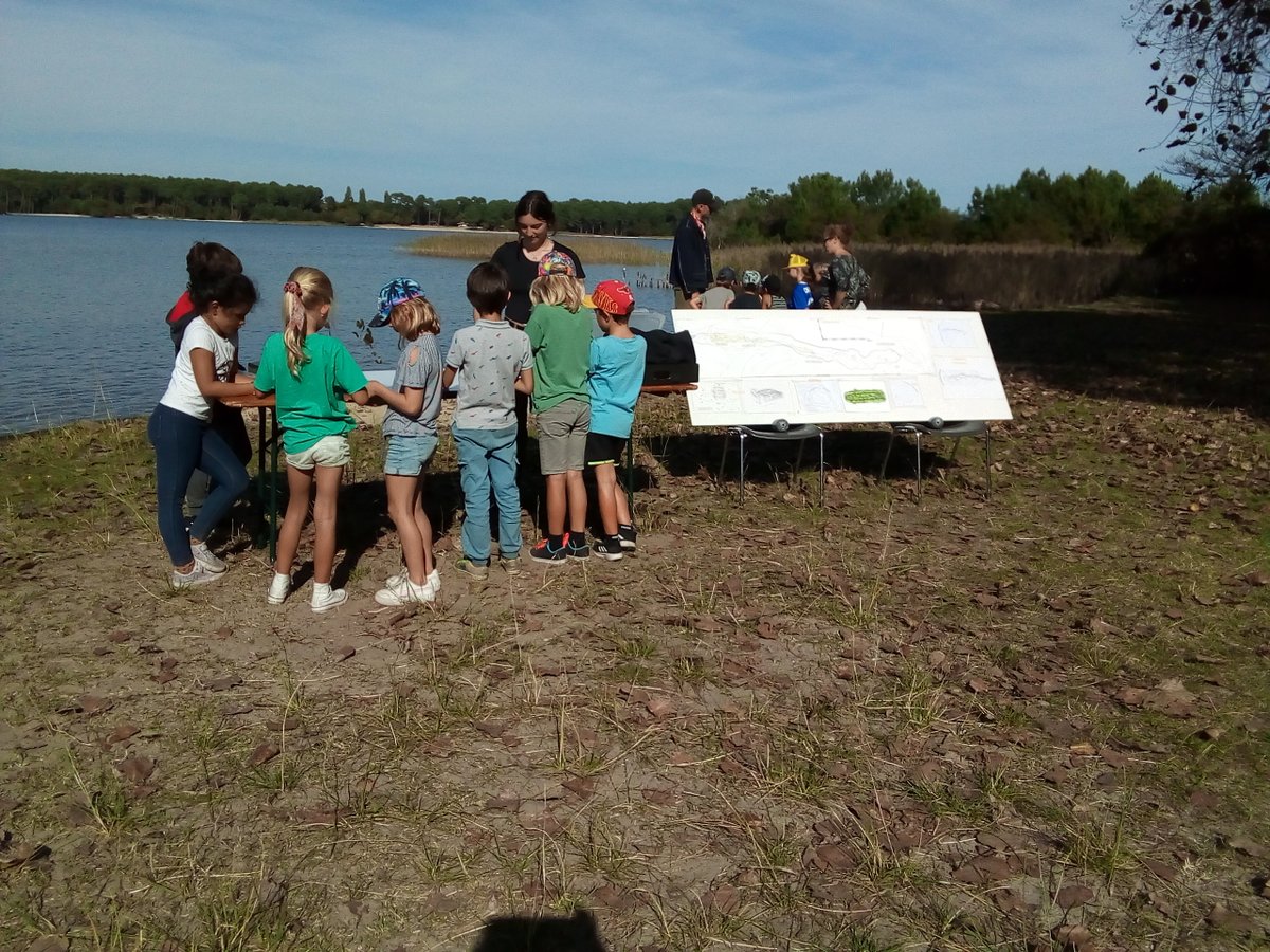 Drassm_Culture's tweet photo. | SUBAQUATIQUE |🤿
Du 14 au 25 oct., le #Drassm dirige une opé de prospection subaquatique au Lac de Sanguinet, en collab. avec le #CRESS et le Musée du Lac Sanguinet, avec le soutien du SRA-Drac @NvelleAquitaine, @LesLandes40, Ville de Sanguinet, @CCJ_CNRS et de la Sté Pixalt. https://t.co/VBl0tr7324