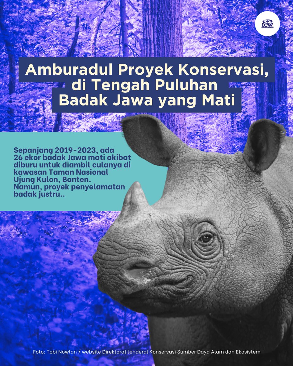 antikorupsi's tweet photo. Badak terancam punah: dijaga ❌dijadikan peluang korupsi ✅

Saking kreatifnya pemerintah Indonesia, proyek penyelamatan Badak Jawa aja bisa dijadikan peluang buat korupsi. Parah gak tuh?!! https://t.co/TApH2Jw6aV