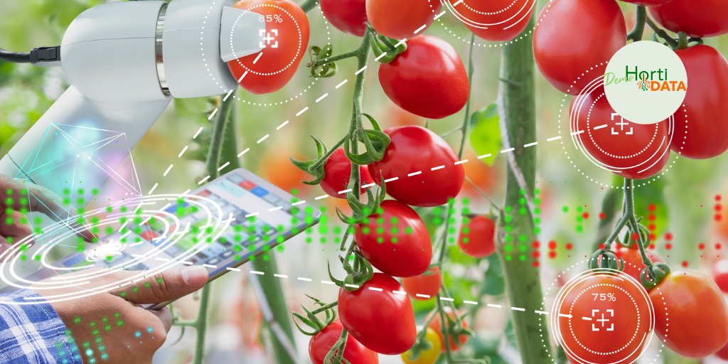 eComercioAgr's tweet image. 🆙ATENCION
Algunos datos de la próxima edición de #DemoHortiDATA2024 

✅Palabras claves: #innovación y #digitalización 
✅Para qué sector agrícola: #Hortofrutícola
✅Donde: #Cartagena #Murcia
✅Cuándo: el 29 de octubre

Recuerda 📝Inscripciones 👉acortar.link/r5EwyT