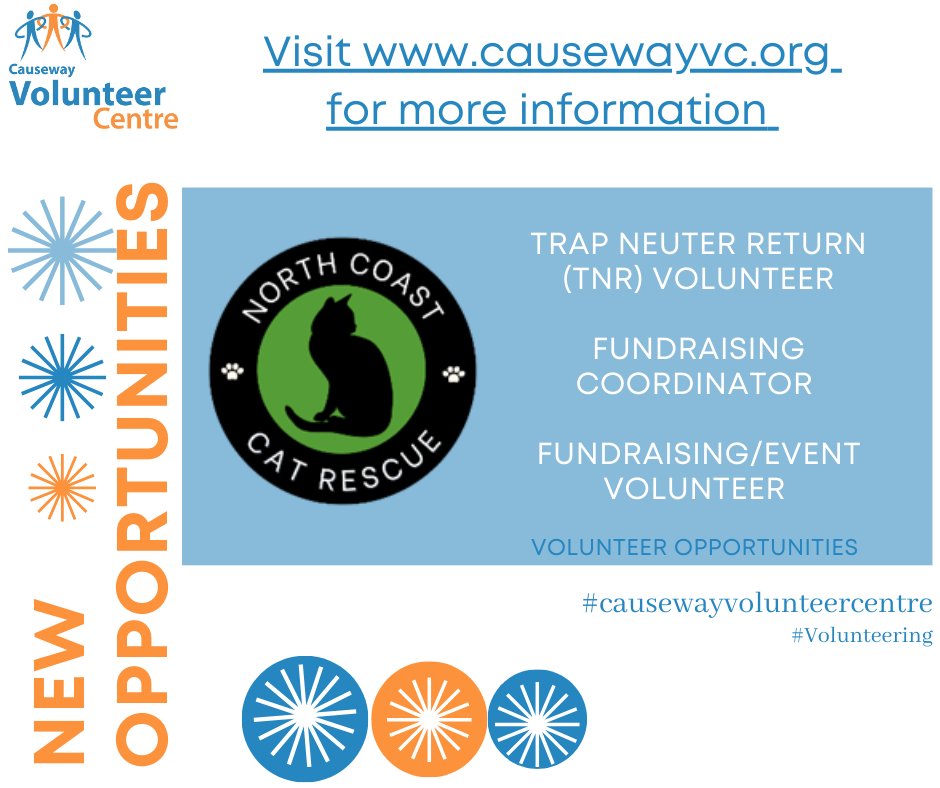 Causeway Volunteer tweet media
