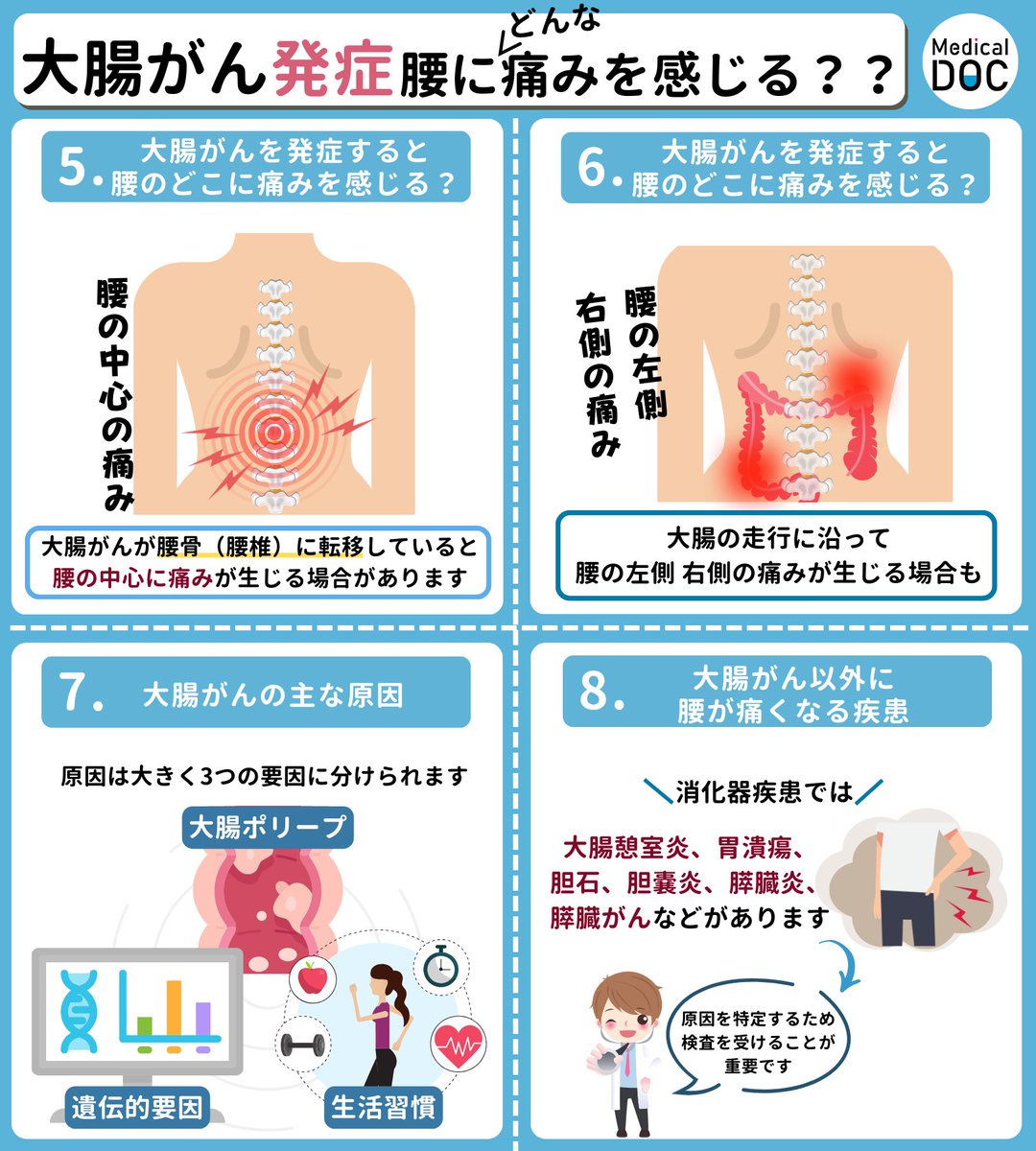 活動歴および当時の関連ビジュアル記録