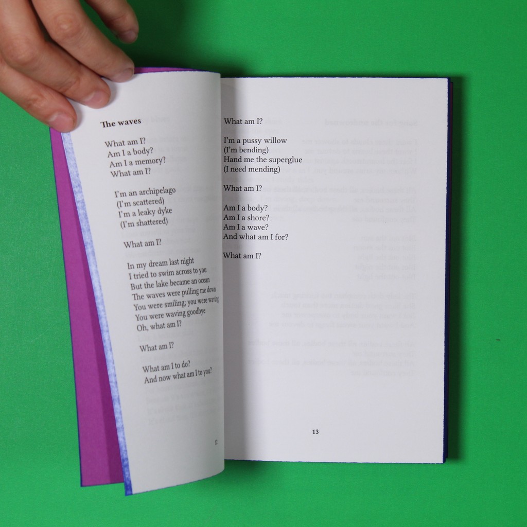 Songs of Love, Death, and Pleasure is a songbook containing Hazel Jane Plante’s song lyrics, and some additional song lyrics by Tracy St. Cyr, the main character/co-author of Any Other City.
#HazelJanePlante #PublicationStudioVancouver