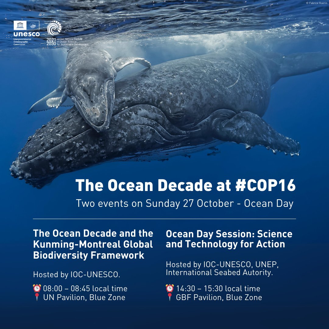 Join us at #COP16Colombia! 🇨🇴  

Our two events on 27 October - Ocean Day will discuss how the #OceanDecade: 

🔵Supports the implementation of the Global Biodiversity Framework
🔵Contributes to transformative ocean approaches and innovation

More info: ow.ly/CAc050TMqKq