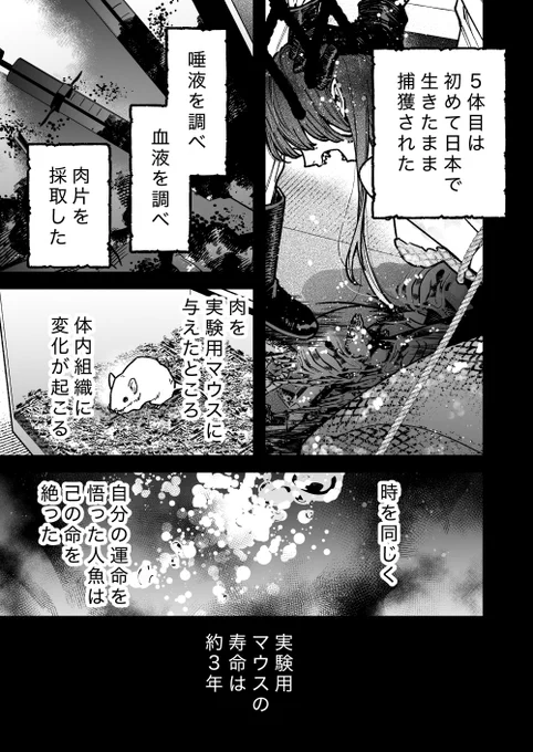 (3/6) 